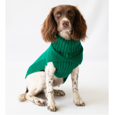 The Jazz Dog Jumper in Green 
